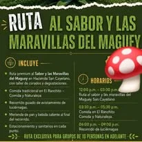 Promoción de temporada de luciérnagas 2026
