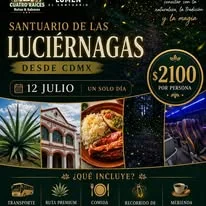 Infografía de buenas prácticas para visitar el bosque