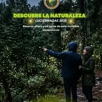 Pareja observando luciérnagas